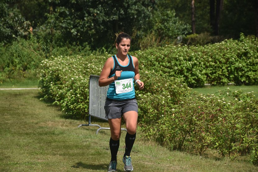estafette deel 2 - 2017 - 125